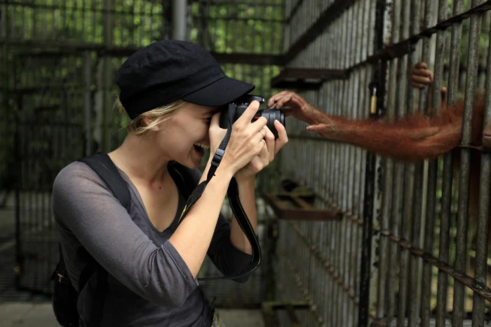 M lanie Laurent women French celebrity actress 95