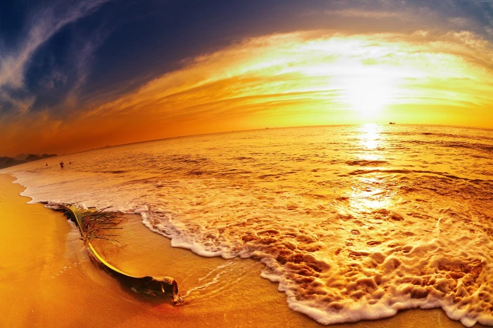 sunset beach sea ocean travel 2k 4k 5k