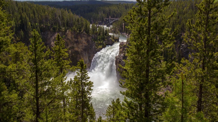 nature forest waterfall beauty in scenics 2k 4k 5k 8k