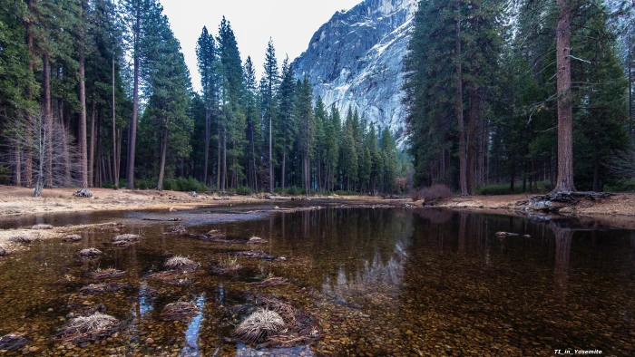 nature yosemite tree water plant forest tranquility 2k 4k 5k 8k