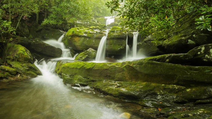 waterfall nature download tree scenics plant 2k 4k 5k 8k