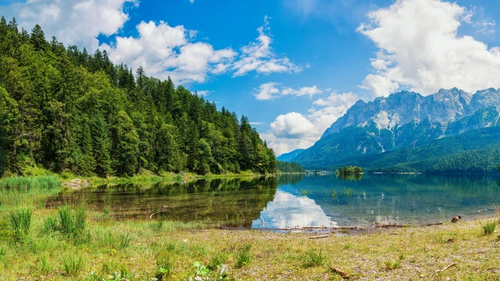 hd nature mountain water tree plant scenics 2k 4k 5k 8k