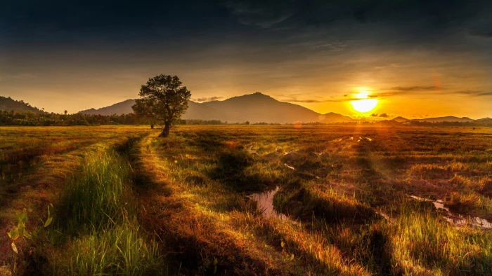 p nature hd images sky sunset scenics 2k