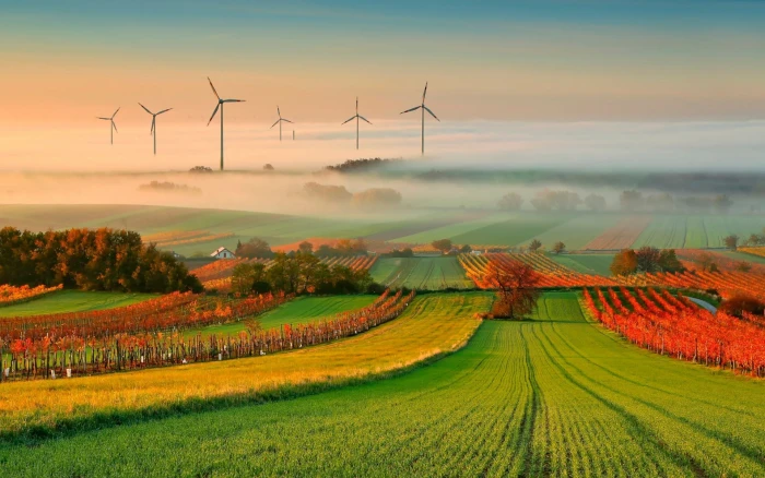nature tree cloud sky Fog windmill 2k