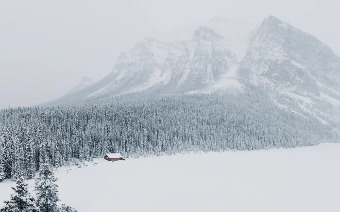 Winter in Lake Louise Alberta