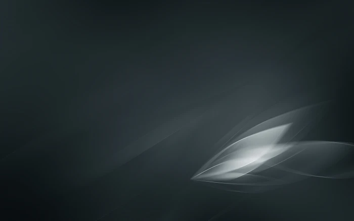 gray and black digital wallpaper abstract leaves art 2k