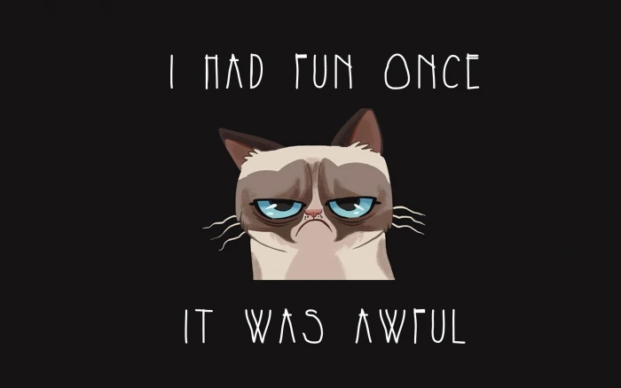 beige and black cat with text overlay humor Grumpy Cat cartoon 2k