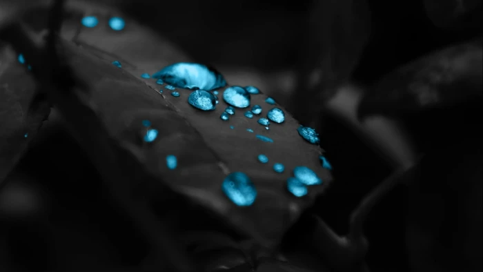 blue water dew wallpaper shallow focus photography of gemstone 2k