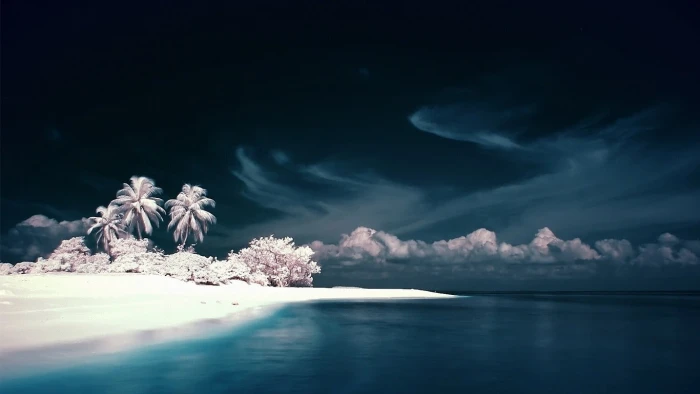 coconut tree landscape beach sea digital art sky clouds