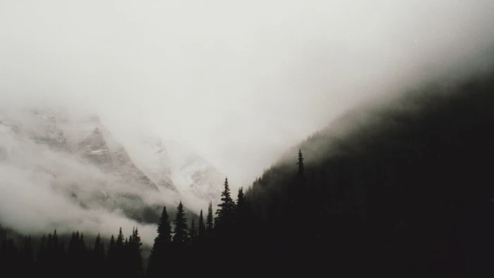 mountain and trees panoramas hills forest monochrome mist 2k