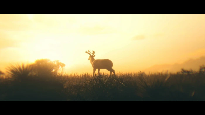 Red Dead Redemption 2 nature 2k