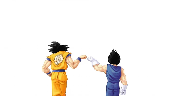 Son Goku and Vegeta illustration behind Dragon Ball Z anime 2k