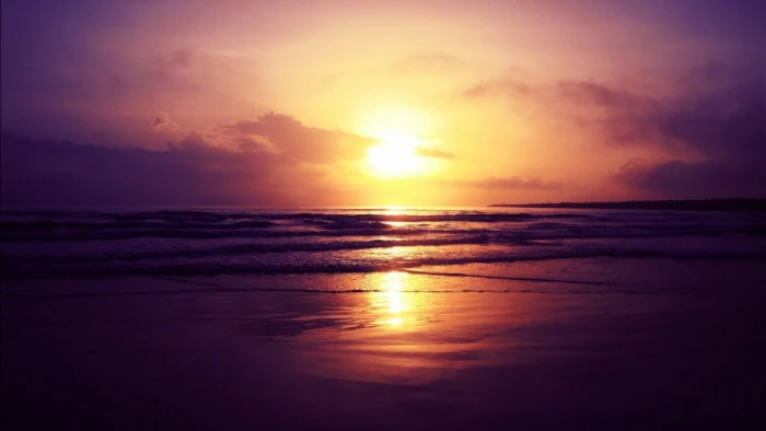 beach sunset nature sea water sky scenics beauty in