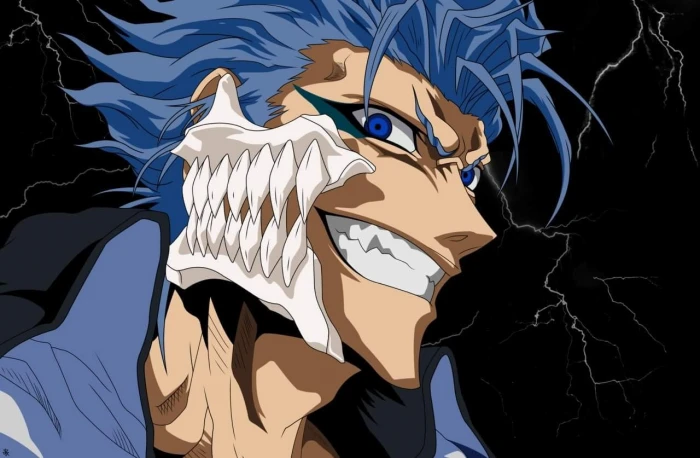 Bleach Espada Grimmjow Jaegerjaquez no people creativity