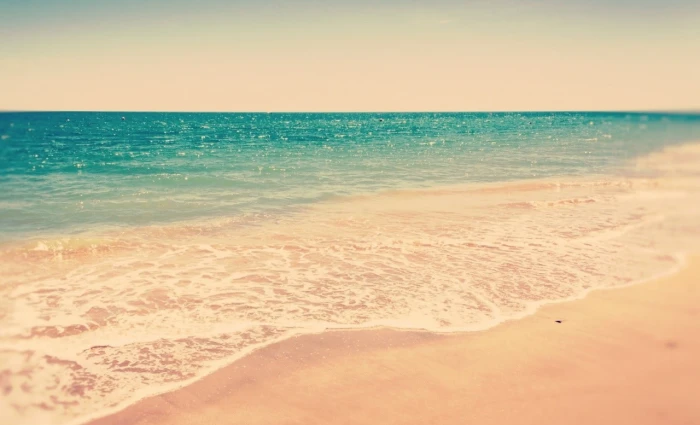 brown and black wooden board beach sand sea land water horizon over
