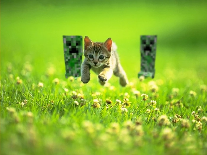 kitten jumping on green grass photography brown tabby chased by two Minecraft creepers at flower field