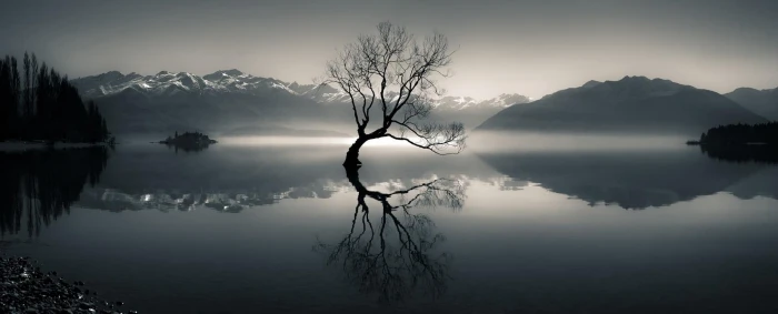 silhouette of bare tree on body water near mountain at daytime 40 2k
