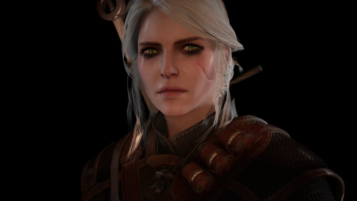 The Witcher 3 Wild Hunt CRIS Cirilla Fiona Elen Riannon Ellen 2k