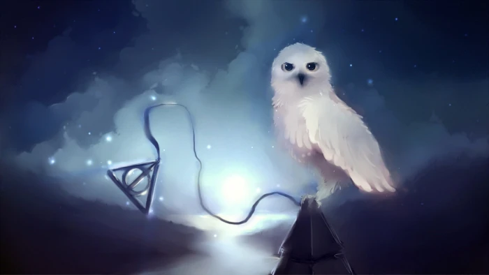 white owl wallpaper Harry Potter Hedwig stars night Apofiss 2k