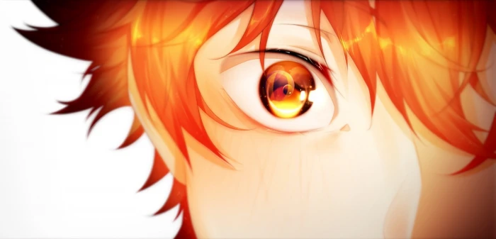 Anime Haikyu Sh y Hinata 2k