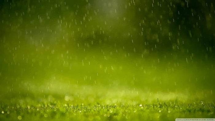 close up photography of waters dropping on green grass field 2k