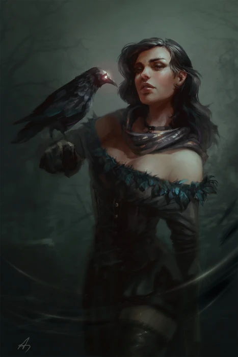 fan art The Witcher video game long hair artwork crow 2k
