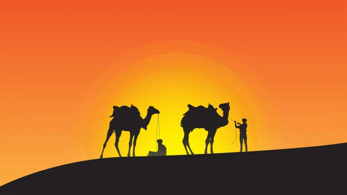 desert silhouette minimal 2k 4k