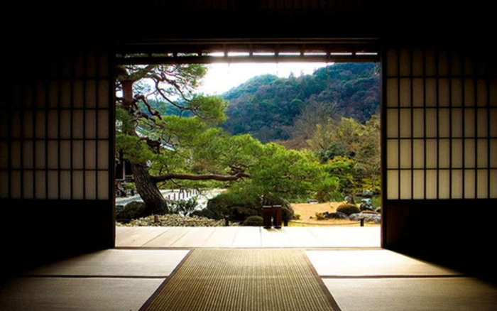 dojo green Dojo Nature Other HD Art indoor