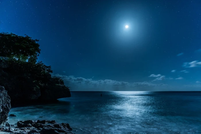 island landscape beach blue moonlight sea nature starry night 2k