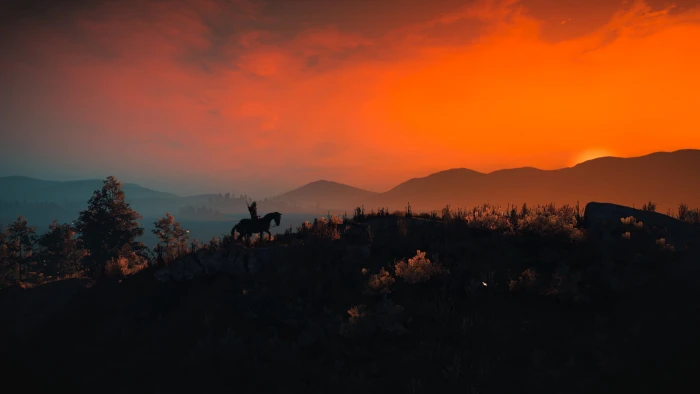 The Witcher 3 Wild Hunt RPG video games 2k
