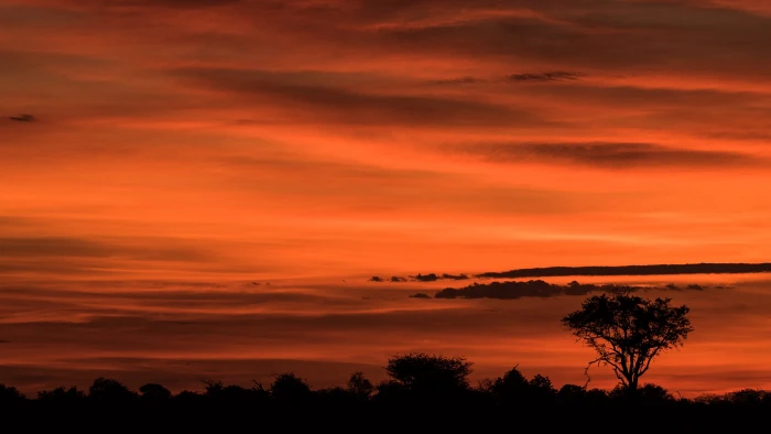 nature sun sunset sky sunrise atmosphere star silhouette 2k