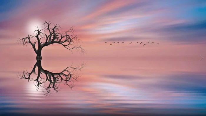 nature sun sunset sunrise sky silhouette dusk sea water 2k