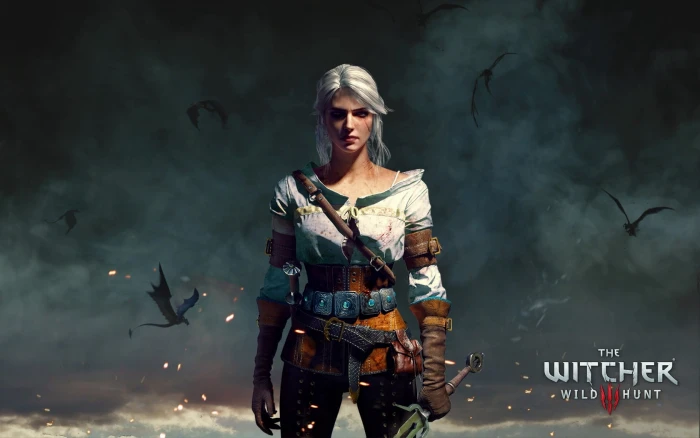 The Witcher Wild Hunt cover the witcher 3 character weapon 2k