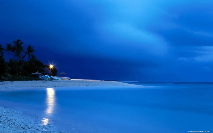 tree near body of water sea beach sky scenics nature beauty in 2k