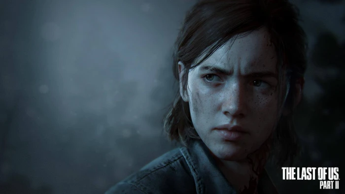 Video Game The Last of Us Part II Ellie 2k