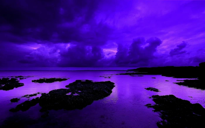 A Violet Night purple extreme beauty and abstract 2k