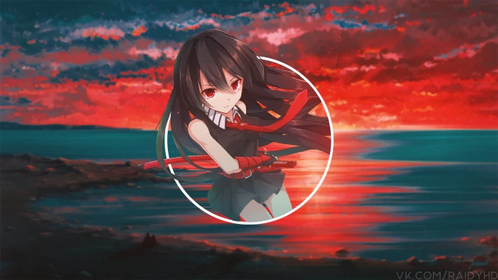 anime girls picture in Akame ga Kill 2k