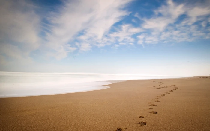 Beach Ocean Footprints HD nature 2k