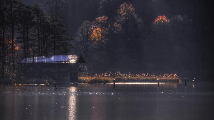 body of water nature landscape lake forest fall trees sun rays 2k