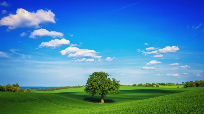 blue sky white clouds green grass trees desktop landscape nature wallpaper 97 2k