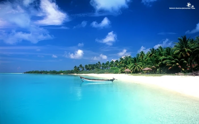 Boat Beach Tropical Palm Trees HD nature 2k