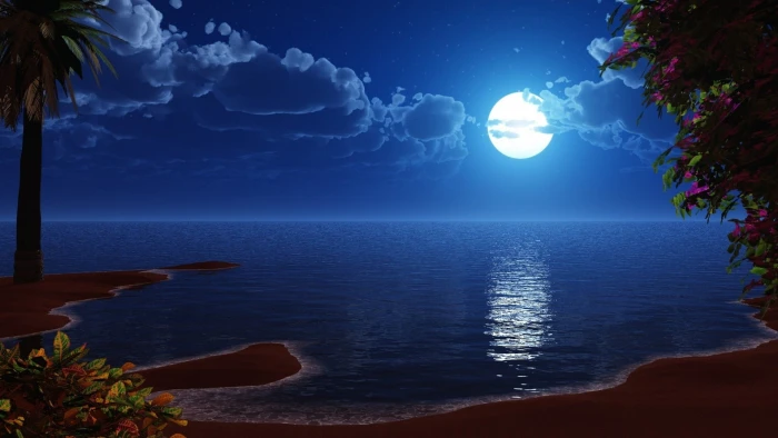 body of water and coconut tree landscape artwork Moon beach 2k