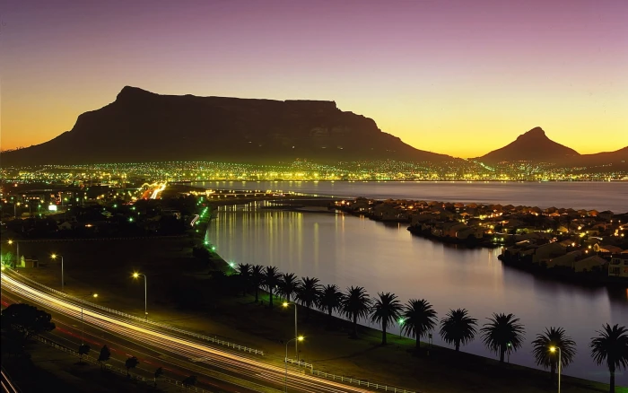 city street lights cape town south africa night palm trees 2k
