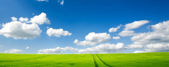 Pure Nature Dual Monitor cloud sky environment grass landscape 2k