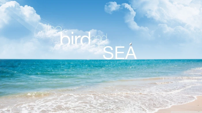 quote beach sea sky water cloud horizon beauty in nature 2k