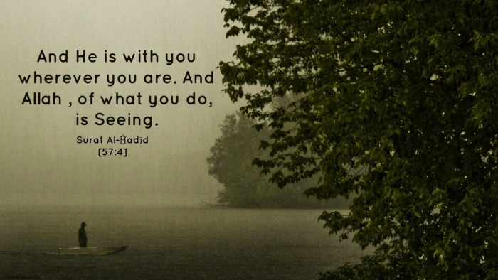 Religious Islam God Quran text tree plant nature water