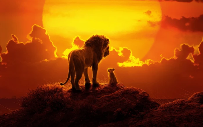 The Lion King animals baby sunset nature 2k
