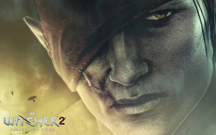 The Witcher 2 Assassins of Kings portrait one person headshot 2k
