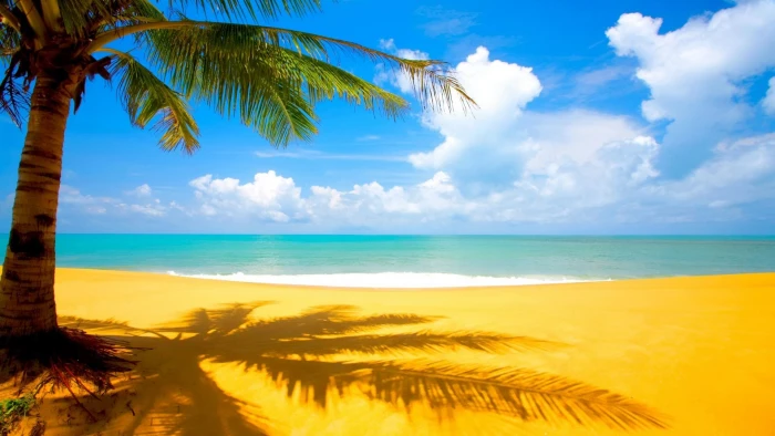 best amazing nature tropical climate sea beach 2k