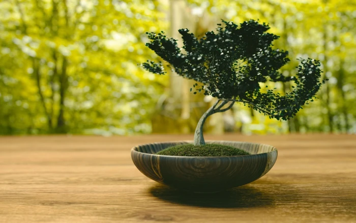 black and white fish with bonsai nature plant tree growth 2k